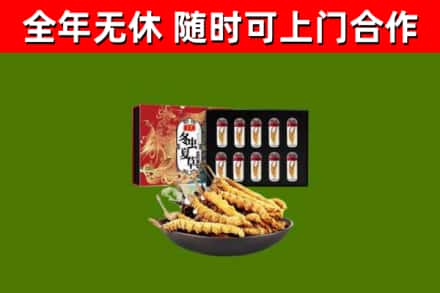那曲回收冬虫夏草价格